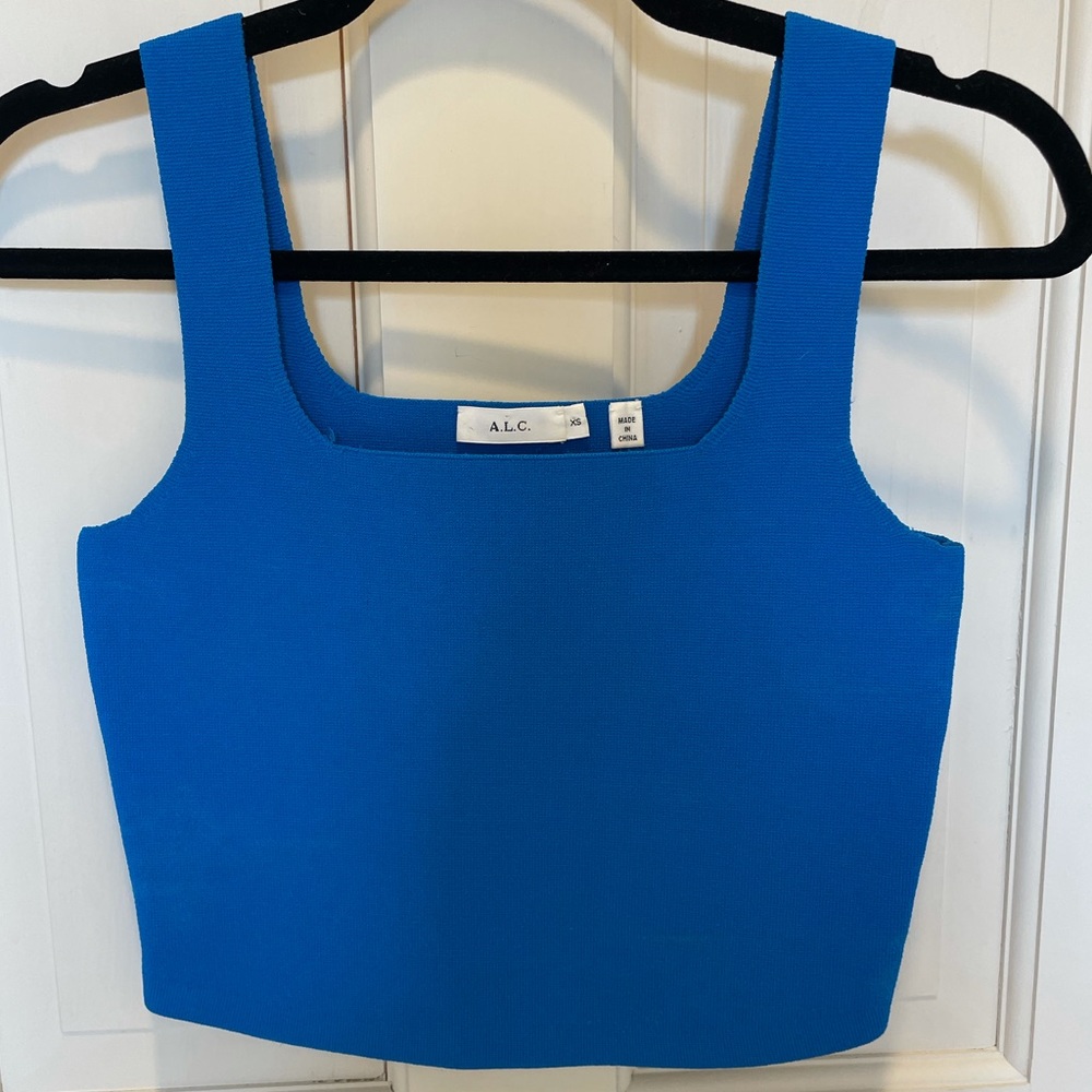 Blue ALC Crop Top - XS - Worn Once